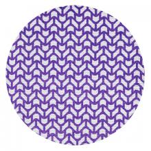 3M 7100249505 - 3M Xtract Cubitron II Net Discs 710W