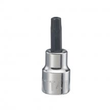 CRAFTSMAN CMMT42621 - CRAFTSMAN 3/8-In. Drive Tt40 Torx Bit Socket
