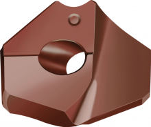 Walter Tool 6838086 - Exchangeable tip